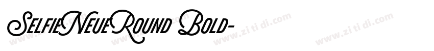 SelfieNeueRound Bold字体转换